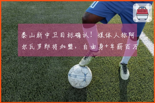 泰山新中卫目标确认！媒体人称阿尔瓦罗即将加盟，自由身+年薪百万