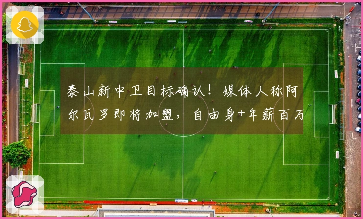 泰山新中卫目标确认！媒体人称阿尔瓦罗即将加盟，自由身+年薪百万